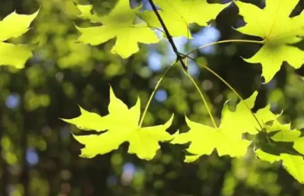 2023年国庆节后天气会变冷吗1