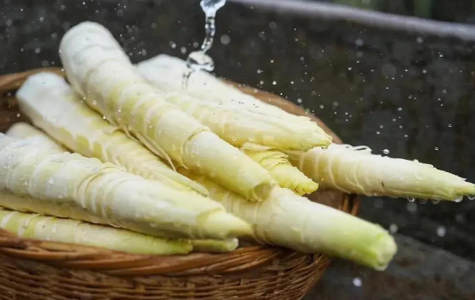 春笋冷冻一年还能吃吗(春笋冷冻一年会坏吗) 春笋冷冻一年还能吃吗(春笋冷冻一年会坏吗)