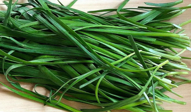 韭菜一年四季都可以种吗3