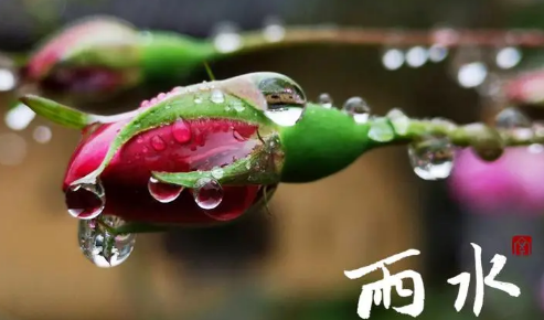 2023年芒种过后雨水会变多吗（芒种过后天气怎么样）