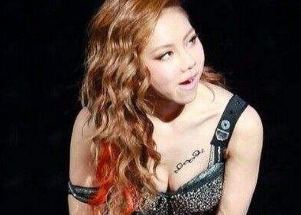 邓紫棋肩膀的纹身图片（歌手邓紫棋两处胳膊图案的含义）