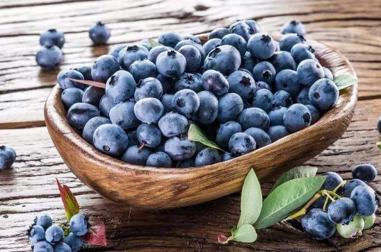 蓝莓榨汁会破坏花青素吗3
