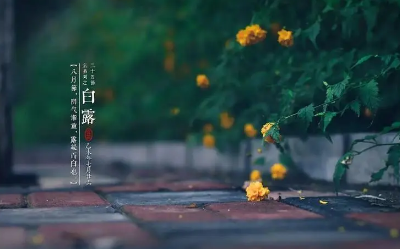 2023白露节气过后天气会凉快吗（2023白露节气过后天气有什么变化）