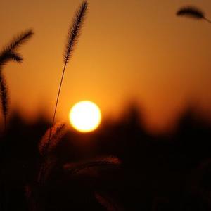 林志玲演过什么电视剧（明星林志玲出演过的影视作品）