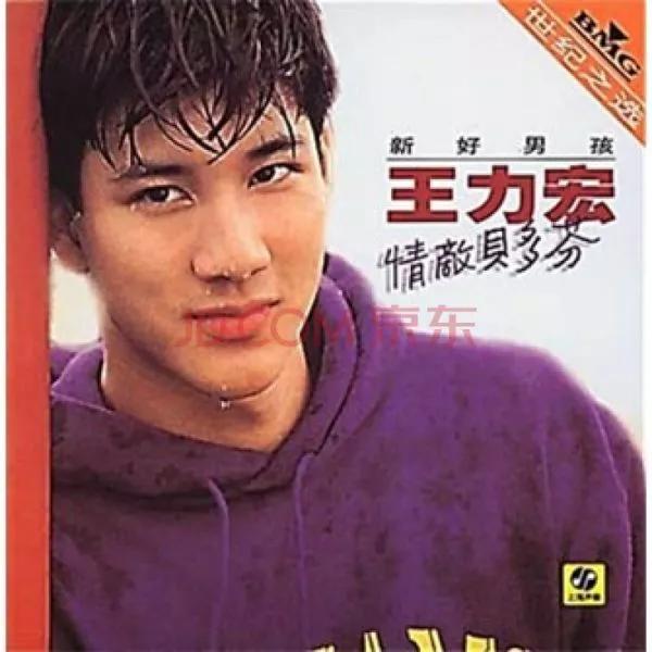 王力宏为何喜欢李靓蕾（8段情史王力宏娶李靓蕾的原因）