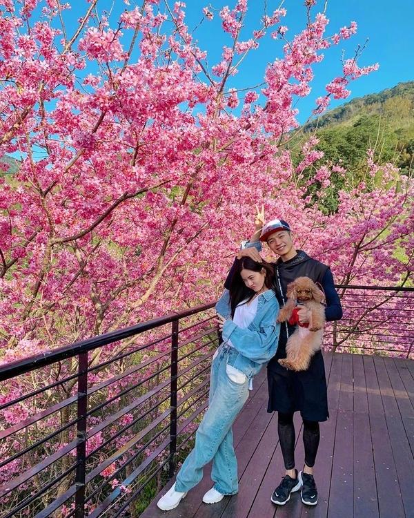 演员曾之乔怎么变样了（曾之乔整容前后照片对比）