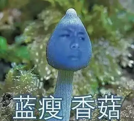 女孩说skr是什么意思（网络用语skr的含义）