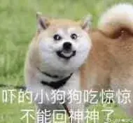 女孩说skr是什么意思（网络用语skr的含义）