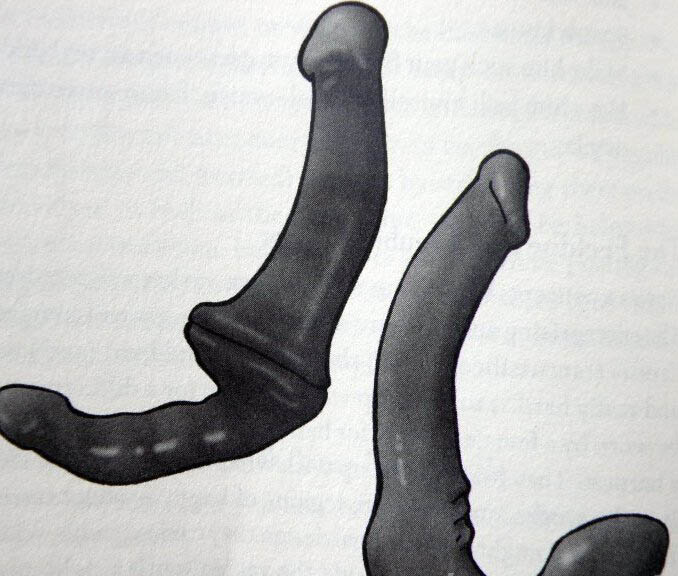 夫妻性生活情趣工具有哪些（最全的情侣SM工具介绍及用法）