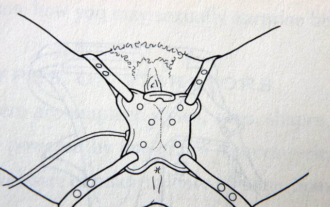 夫妻性生活情趣工具有哪些（最全的情侣SM工具介绍及用法）