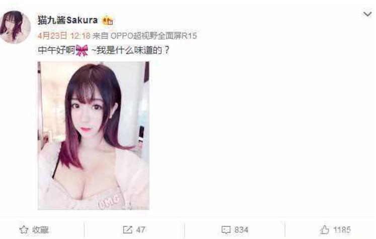 sol君为什么不直播了（元气骑士知名主播炉石sol君）