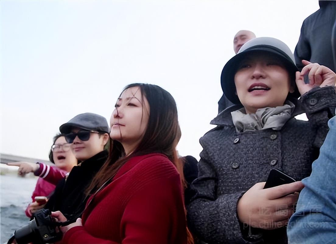 央视新闻主播胥午梅近况（胥午梅的个人资料）