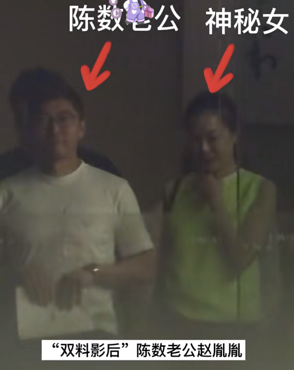 陈数第一任老公的简介是谁（演员陈数丈夫赵胤胤资料简介）