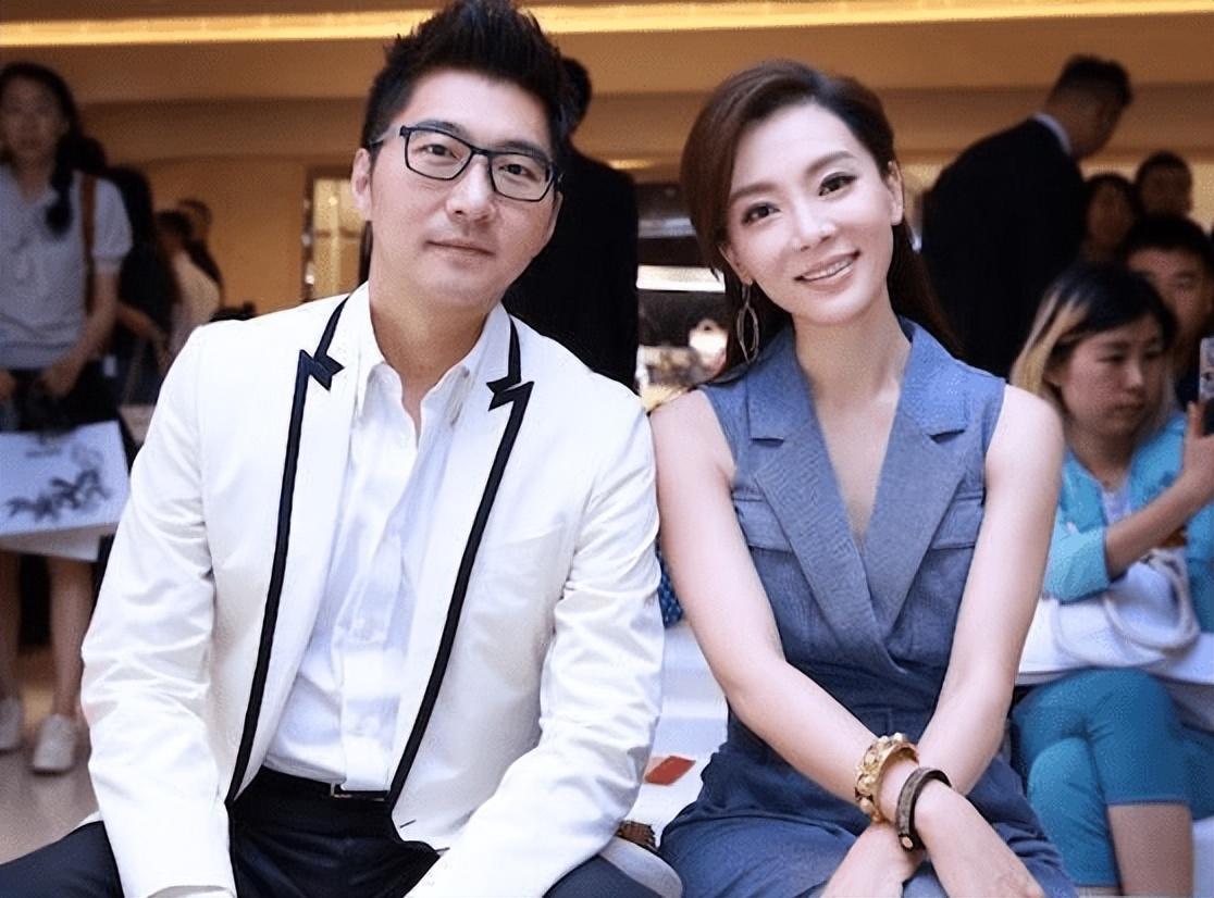 陈数为什么不生自己的孩子（演员陈数不要孩子的原因）