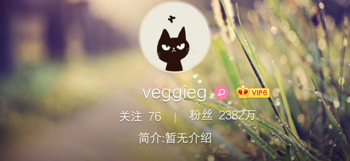 孙俪的微博为什么没认证（盘点没有认证的明星微博）