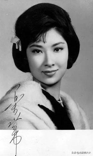 陈思思老家是哪里人（中国赫本陈思思资料介绍）