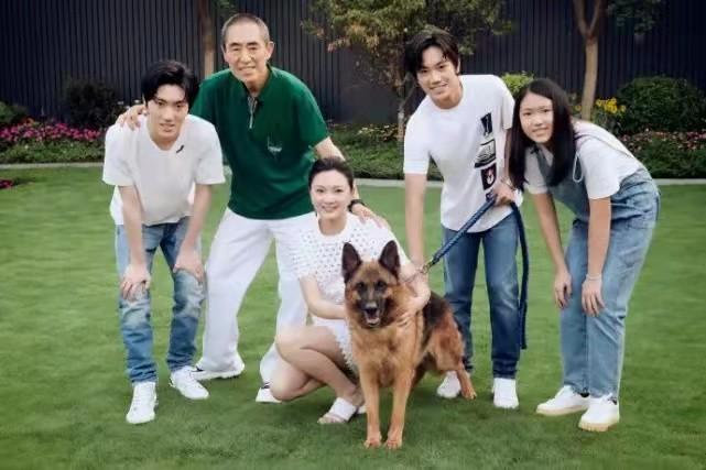 陈婷是怎么认识张艺谋的（50岁张艺谋与19岁陈婷的爱情经历）