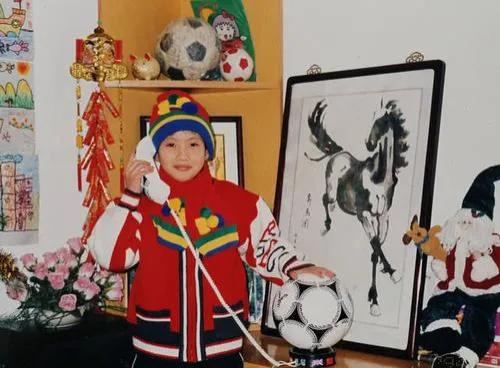 陈若琳为什么名气不大（奥运五连冠运动员陈若琳介绍）