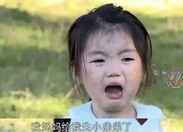 阿拉蕾是谁家的孩子（揭秘童星崔雅涵父母的职业）