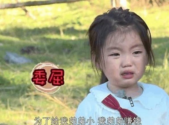 阿拉蕾是谁家的孩子（揭秘童星崔雅涵父母的职业）