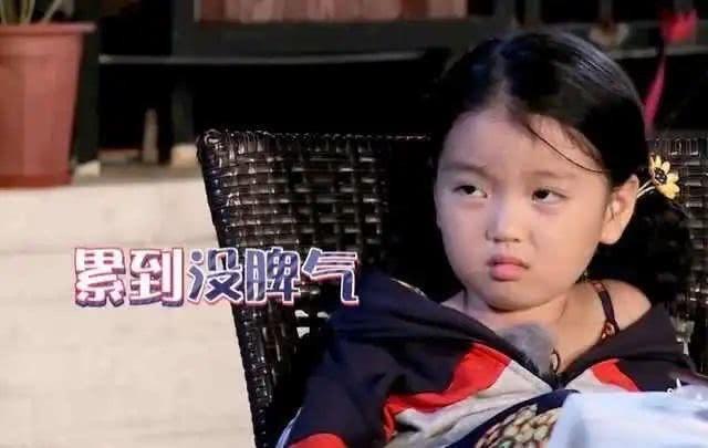 阿拉蕾是谁家的孩子（揭秘童星崔雅涵父母的职业）