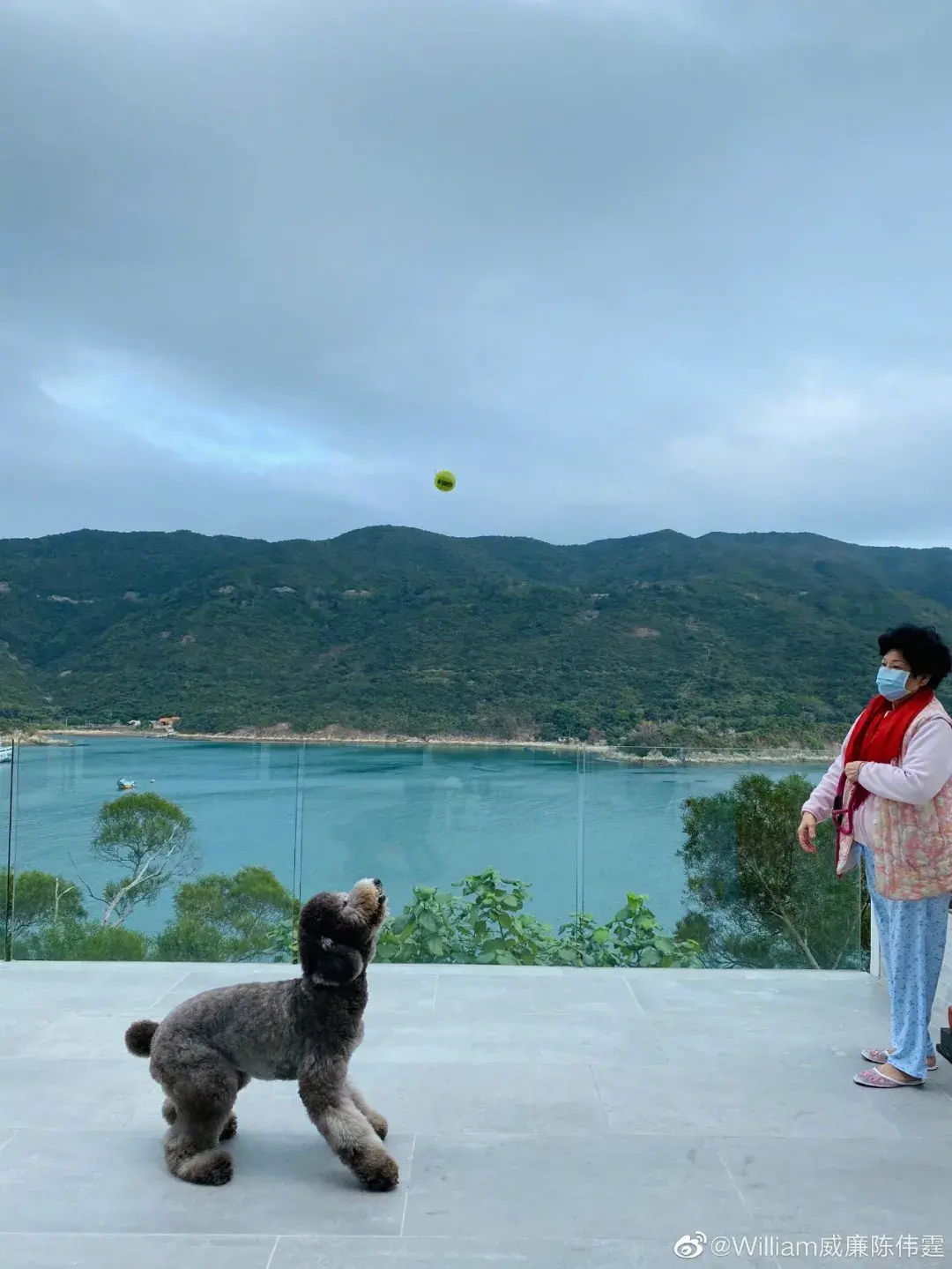 陈伟霆家里有钱吗（陈伟霆个人资料简介及家世）