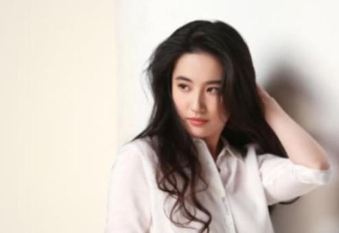 陈金飞结过几次婚（刘亦菲扬州瘦马事件知乎）