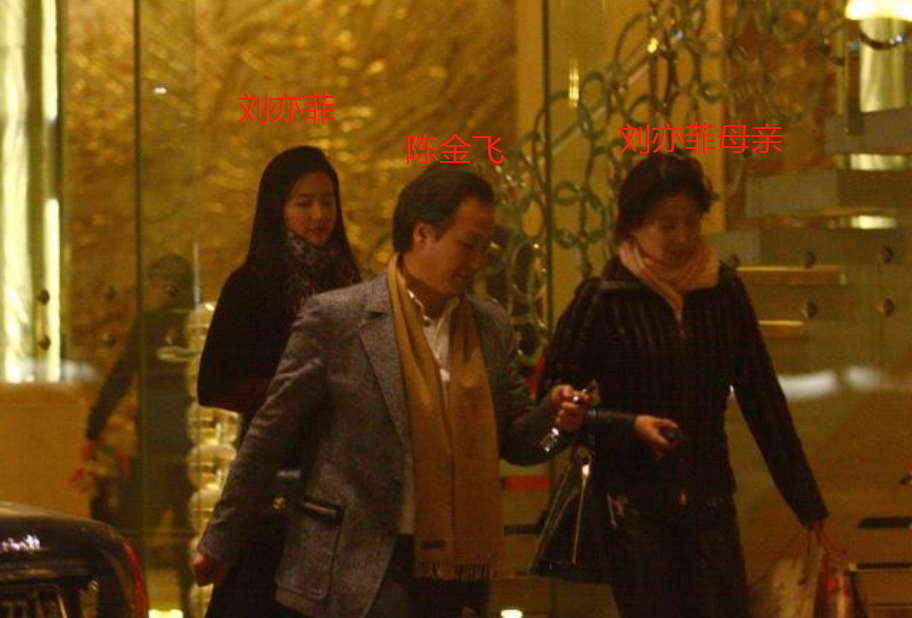 陈金飞结过几次婚（刘亦菲扬州瘦马事件知乎）