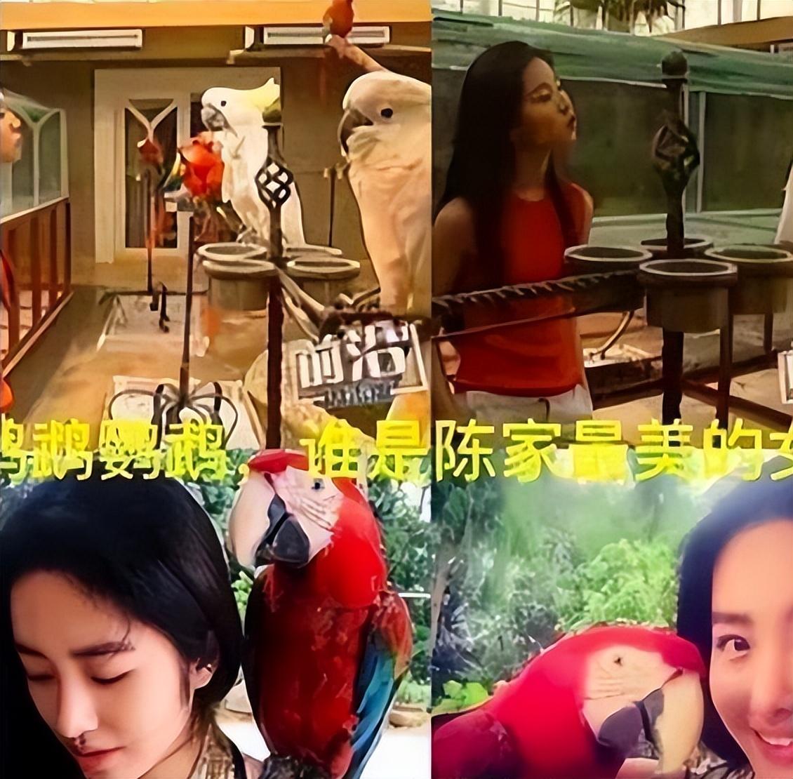 陈金飞是刘亦菲什么人（亿万富翁陈金飞和刘亦菲关系）