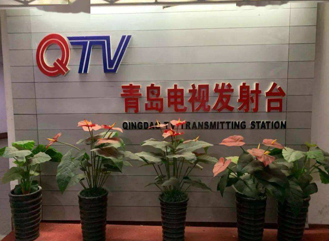 主持人王小骞简介（王小骞和谭江海的爱情故事）