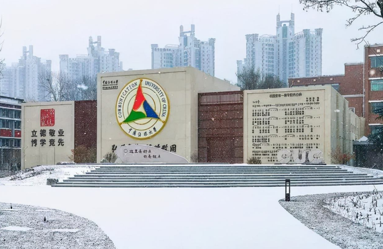 主持人王小骞简介（王小骞和谭江海的爱情故事）