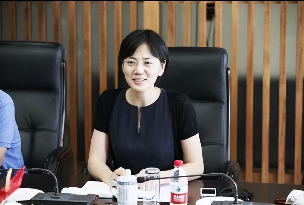 主持人沈冰犯的什么罪（沈冰出狱后的现状生活）