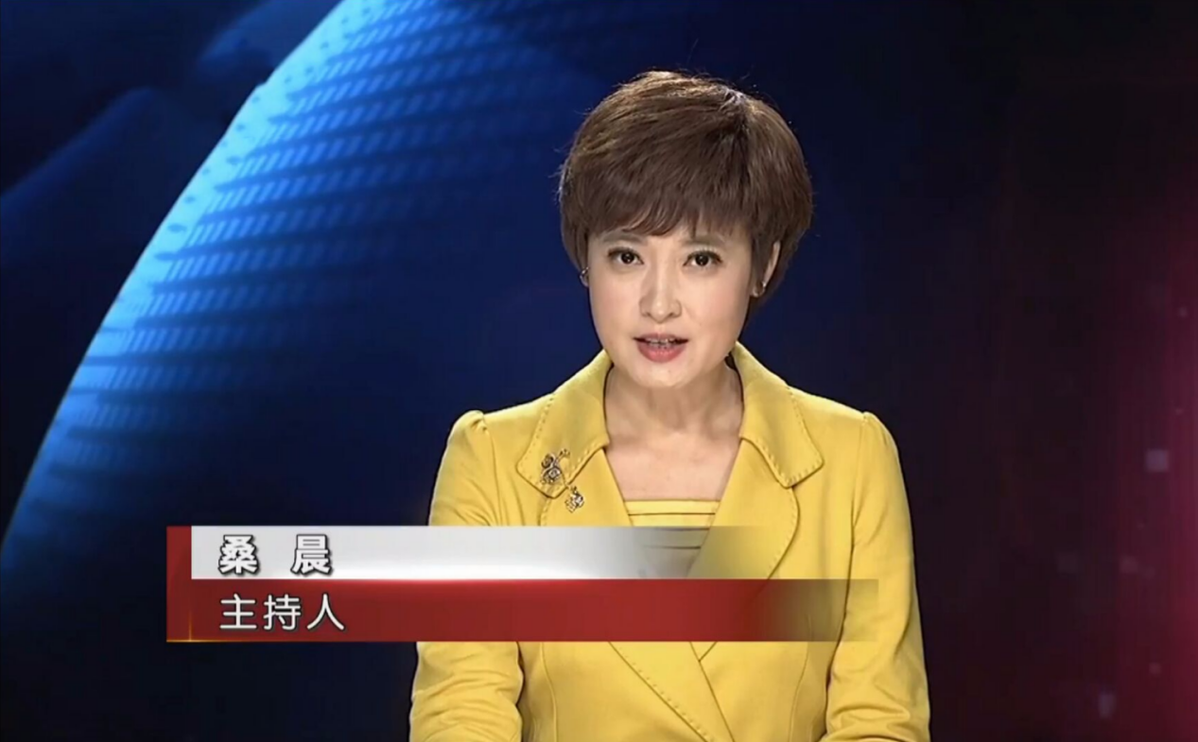 桑晨的丈夫是谁（主持人桑晨个人资料简介）