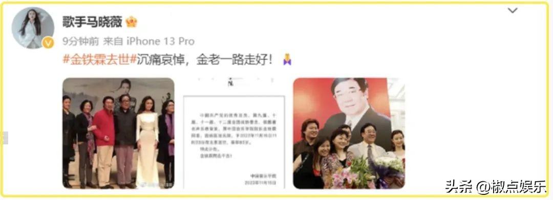 金铁霖简历及个人资料（著名声乐教育家金铁霖去世原因）