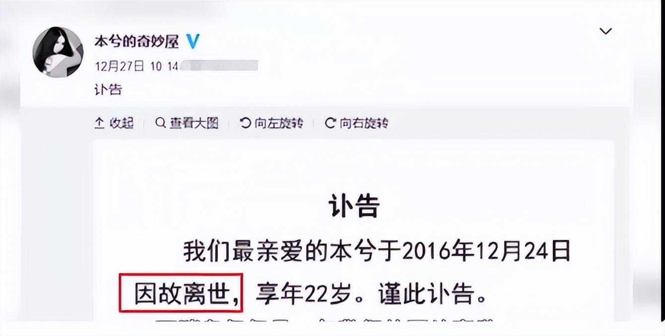 歌手本兮还活着吗（揭秘本兮死亡真相）