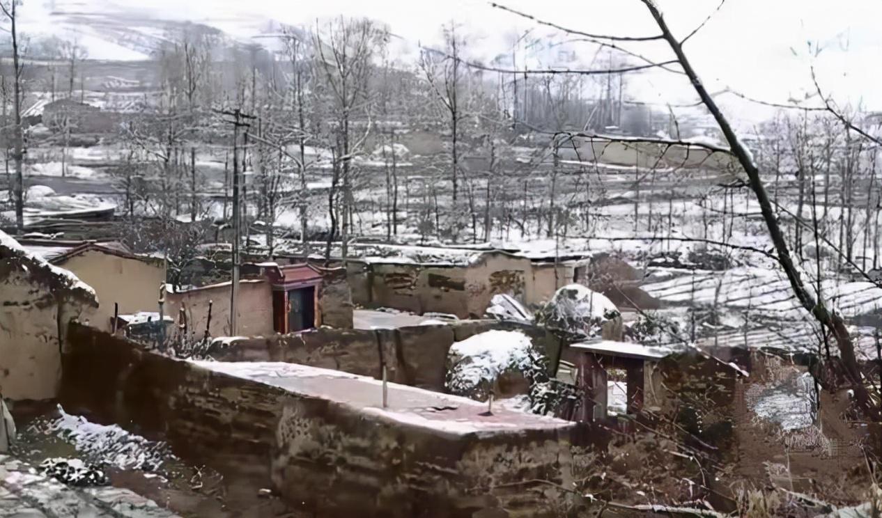 变形计王正晨是第几期出场（王晨正千里奔丧农村爷爷）