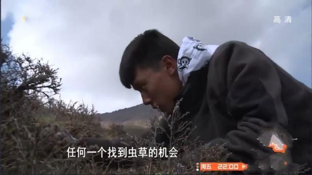 变形计王正晨是第几期出场（王晨正千里奔丧农村爷爷）