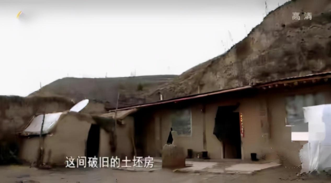 变形计王正晨是第几期出场（王晨正千里奔丧农村爷爷）