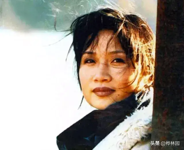 李娜为什么出家为僧（歌坛一姐李娜出家的内幕真相）