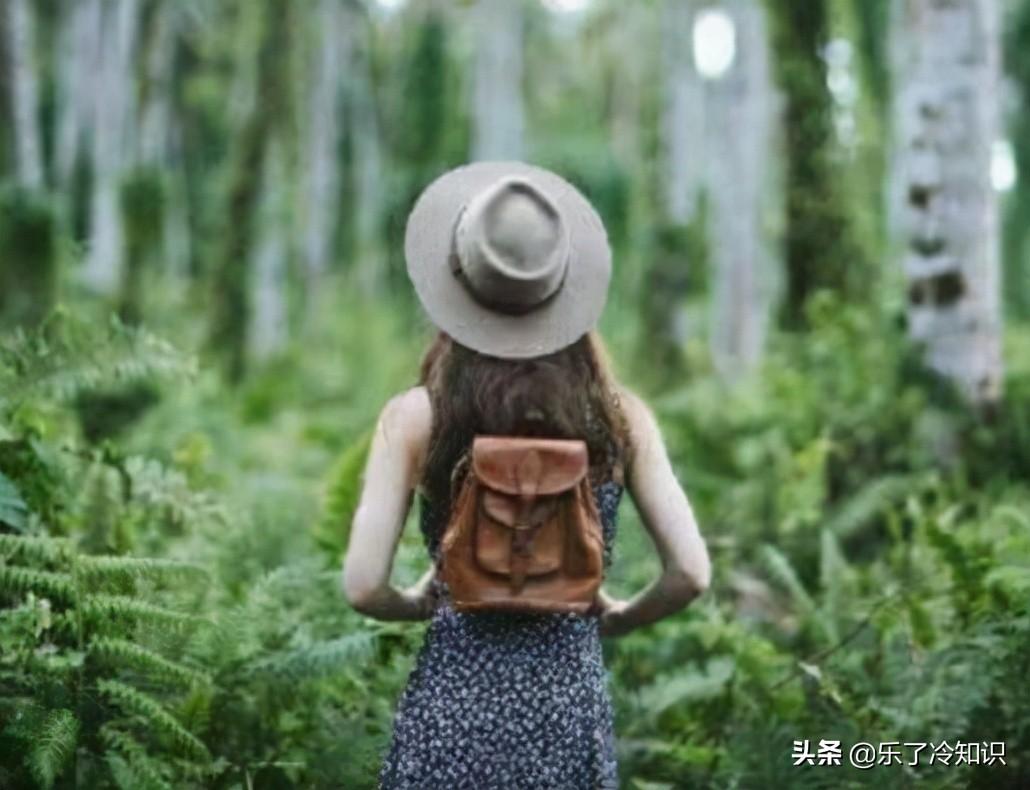 爱情公寓lisa榕演员叫什么（lisa榕的扮演者）