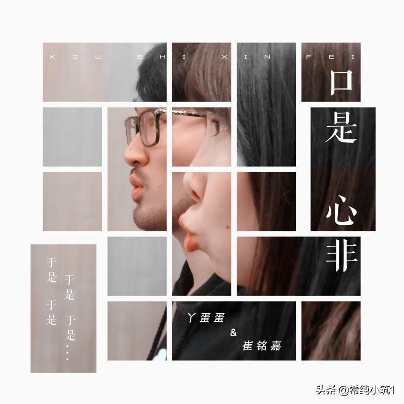 于是爱恨交错人消瘦是什么歌（口是心非歌词介绍）