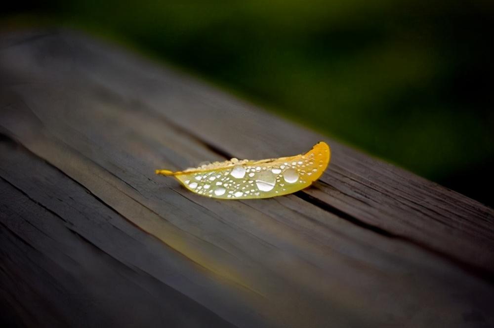 我和朋友妻子激情一夜（因为同情出轨了朋友的妻子）