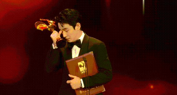 第33届金鸡奖获奖最佳女主角是谁（金鸡奖最佳女主角奚美娟）