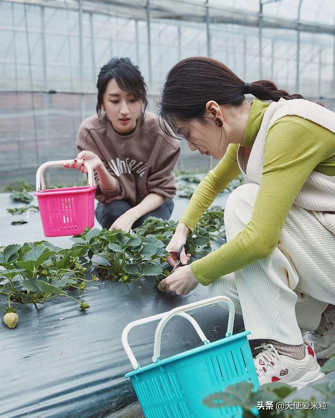 曾之乔和曾志伟什么关系（台湾艺人曾之乔资料简介）