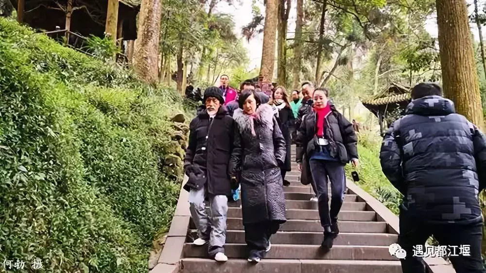 陈彼得年轻时候的照片（歌手陈彼得个人资料简介）