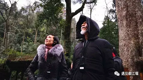 陈彼得年轻时候的照片（歌手陈彼得个人资料简介）