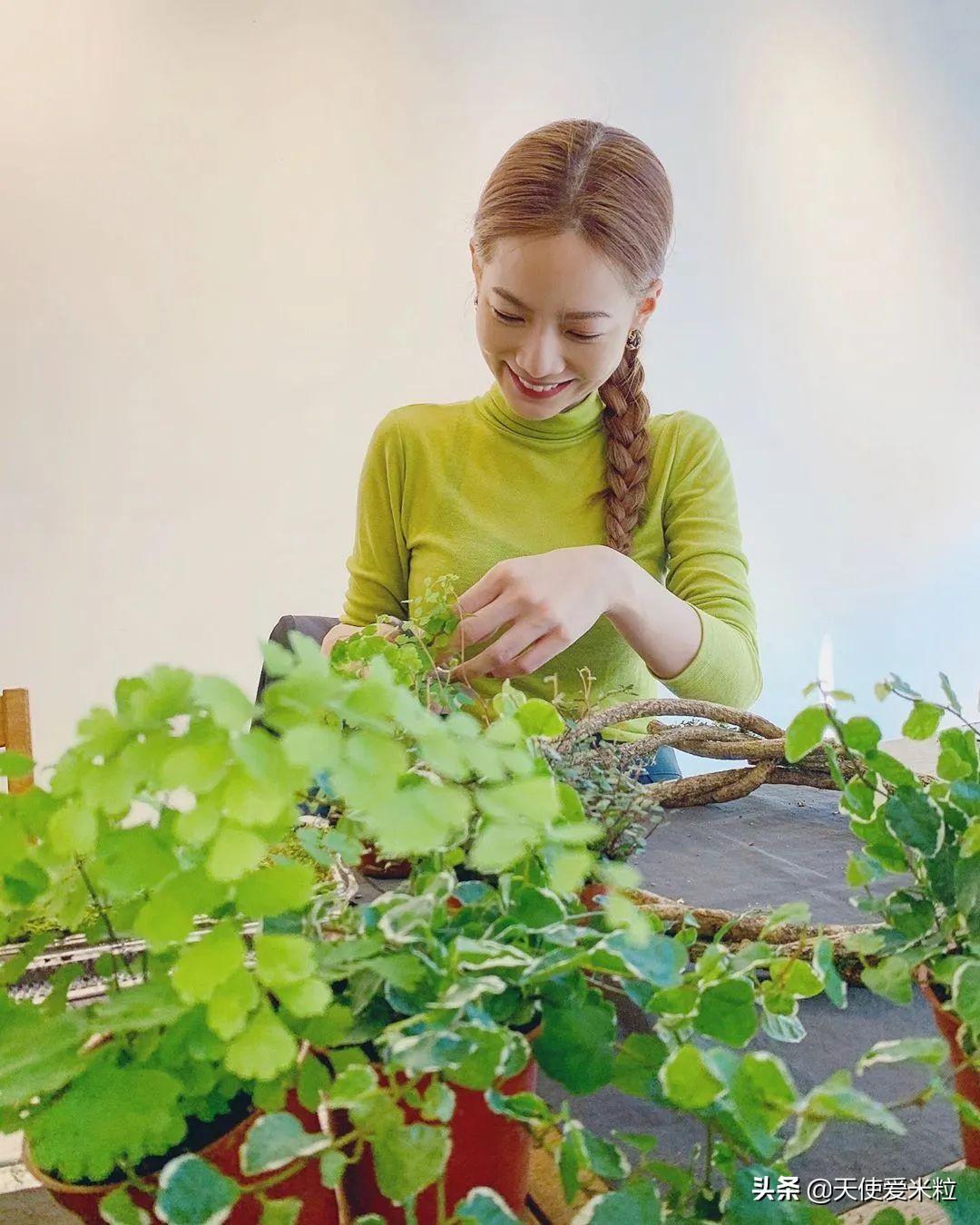 曾之乔和曾志伟什么关系（台湾艺人曾之乔资料简介）