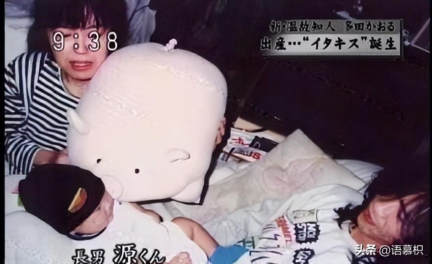 柏原崇对佐藤蓝子的评价(佐藤蓝子客串一吻定情)