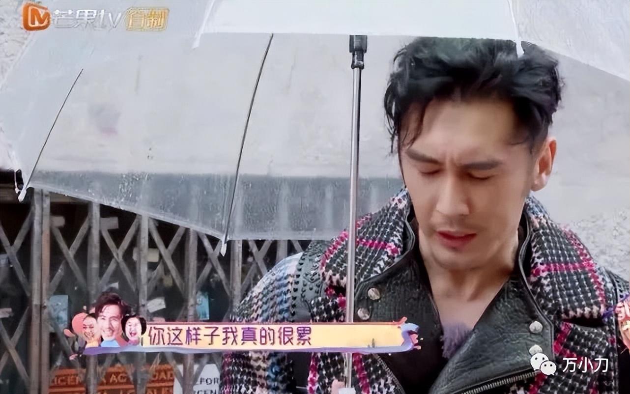 钟丽缇第一任丈夫glen ross（性感女神钟丽缇的风流史）