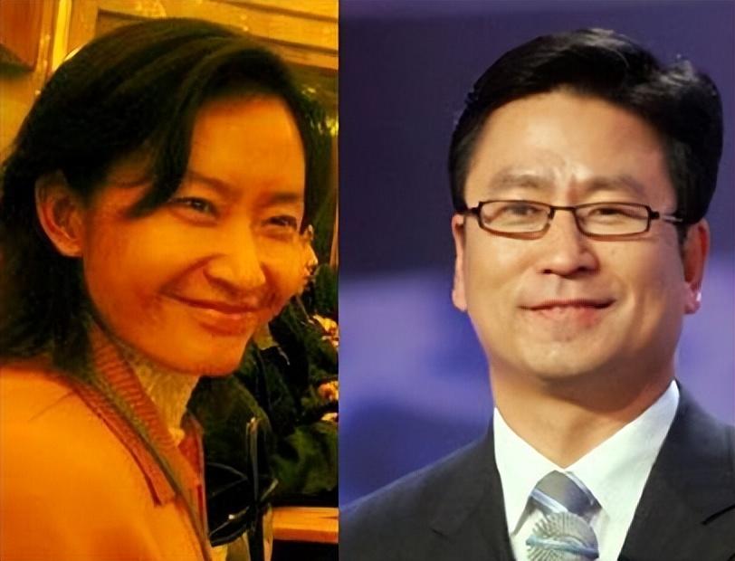 央视主持人白岩松怎么了（江苏女婿白岩松资料介绍）